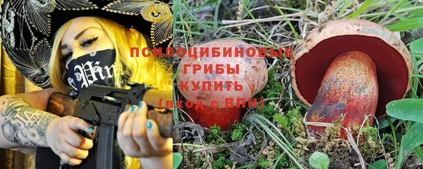 гидра Алзамай