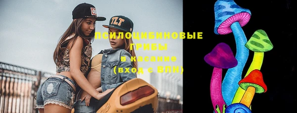 винт Алексеевка