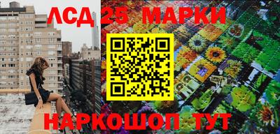 сатива Новозыбков