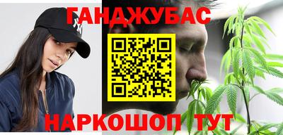 сатива Новозыбков