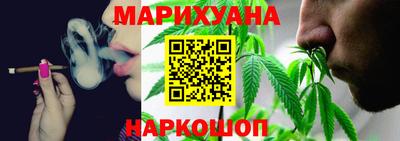 сатива Новозыбков