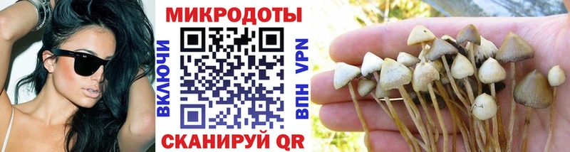 купить   Павловский Посад  darknet клад  Галлюциногенные грибы Psilocybine cubensis 