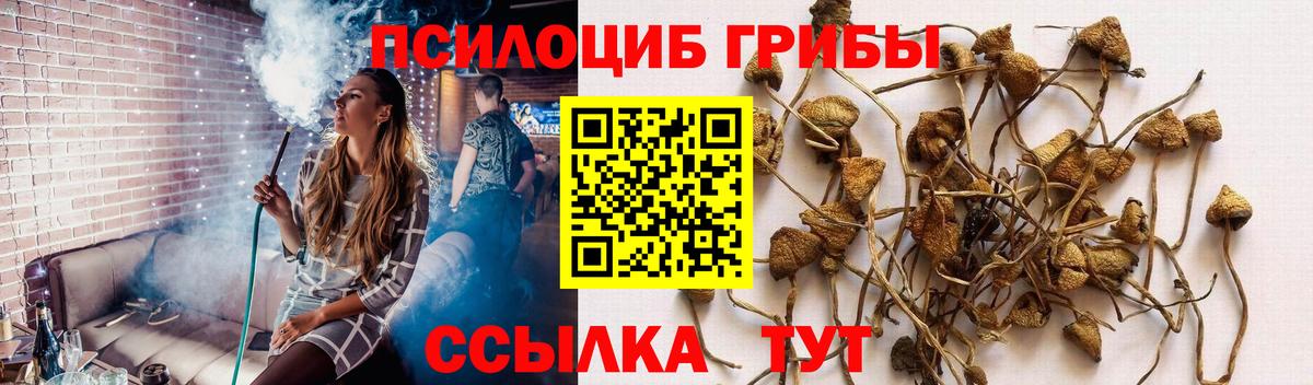 Псилоцибиновые грибы GOLDEN TEACHER  Галлюциногенные грибы Psilocybe  Вход с VPN  Павловский Посад 